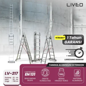 Extension Ladder - LV 217
